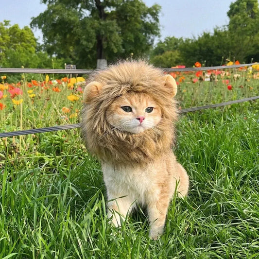 Pet Costume Cute Lion