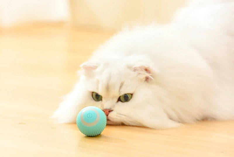 Cat Toy - Automatic Rolling Ball