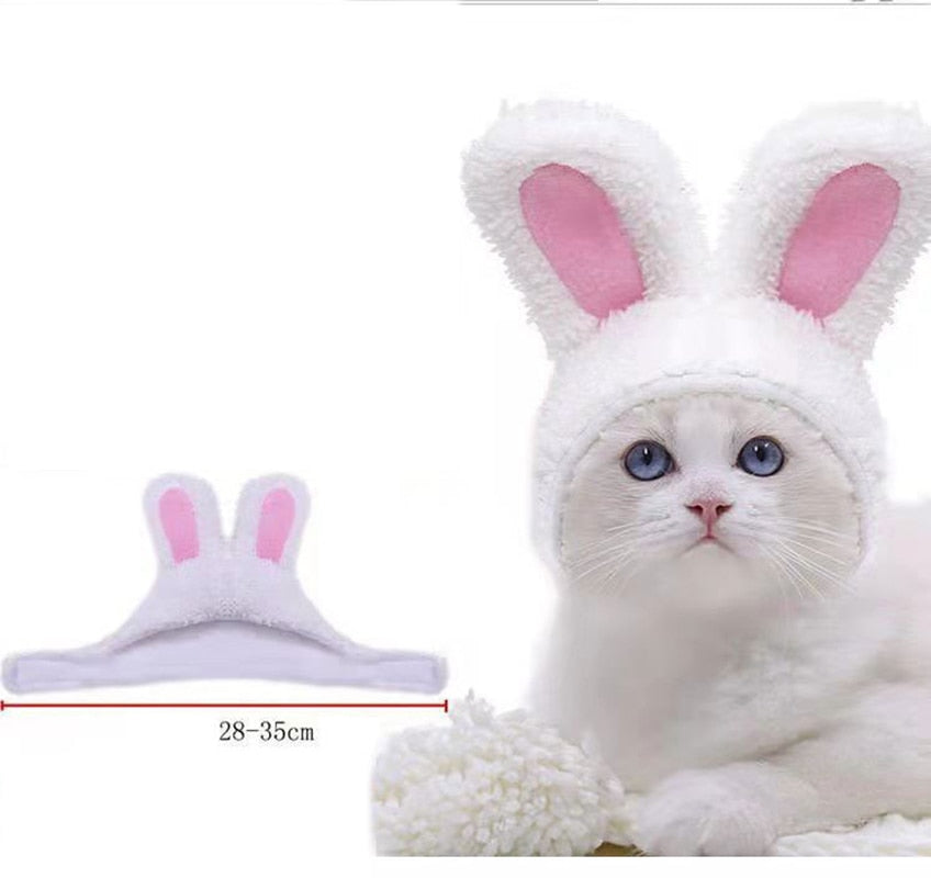Funny Pet Party Hat