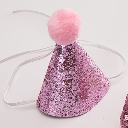 Funny Pet Party Hat