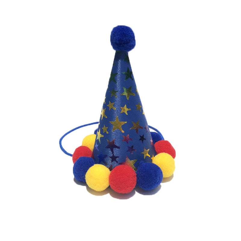 Funny Pet Party Hat