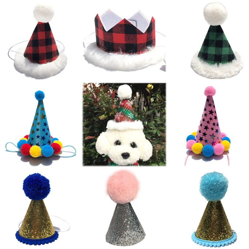 Funny Pet Party Hat