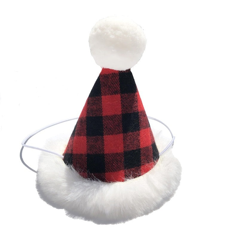 Funny Pet Party Hat