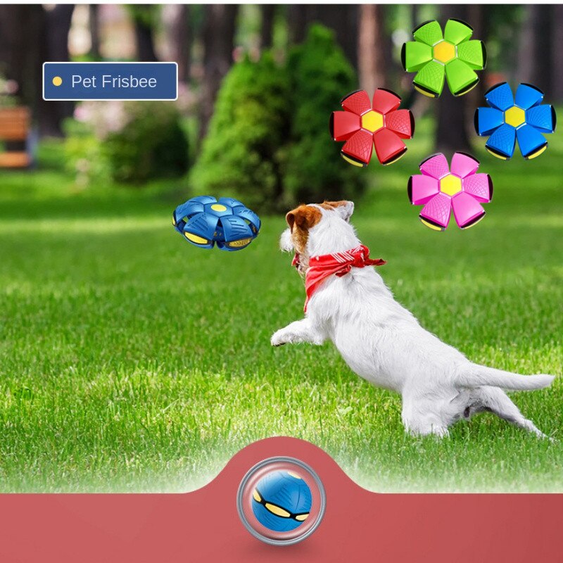 Pet Toys Flying UFO Saucer Ball