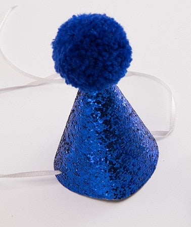 Funny Pet Party Hat