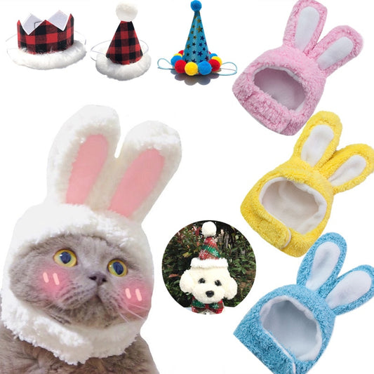 Funny Pet Party Hat