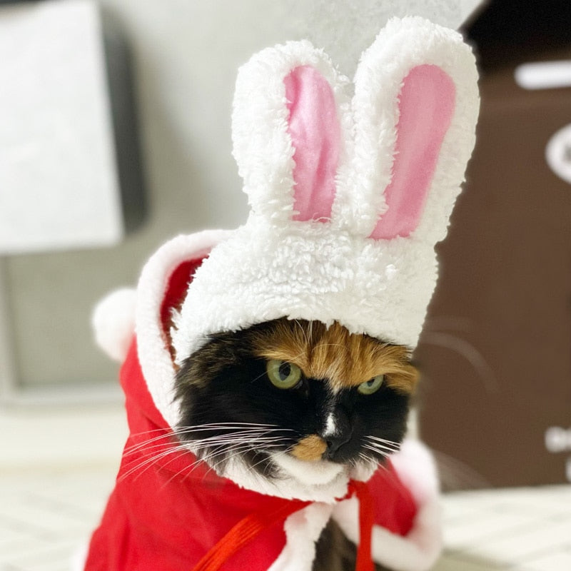 Funny Pet Party Hat